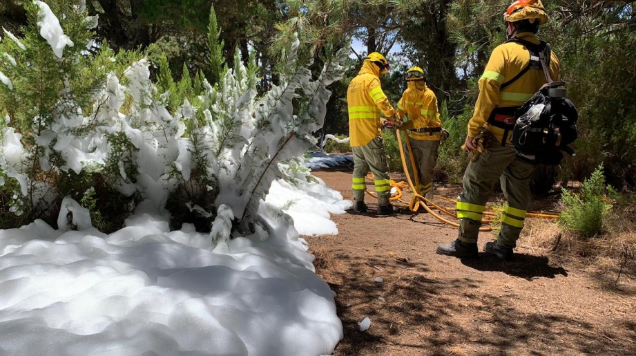 Verano en riesgo alto: de prácticas con los bomberos forestales