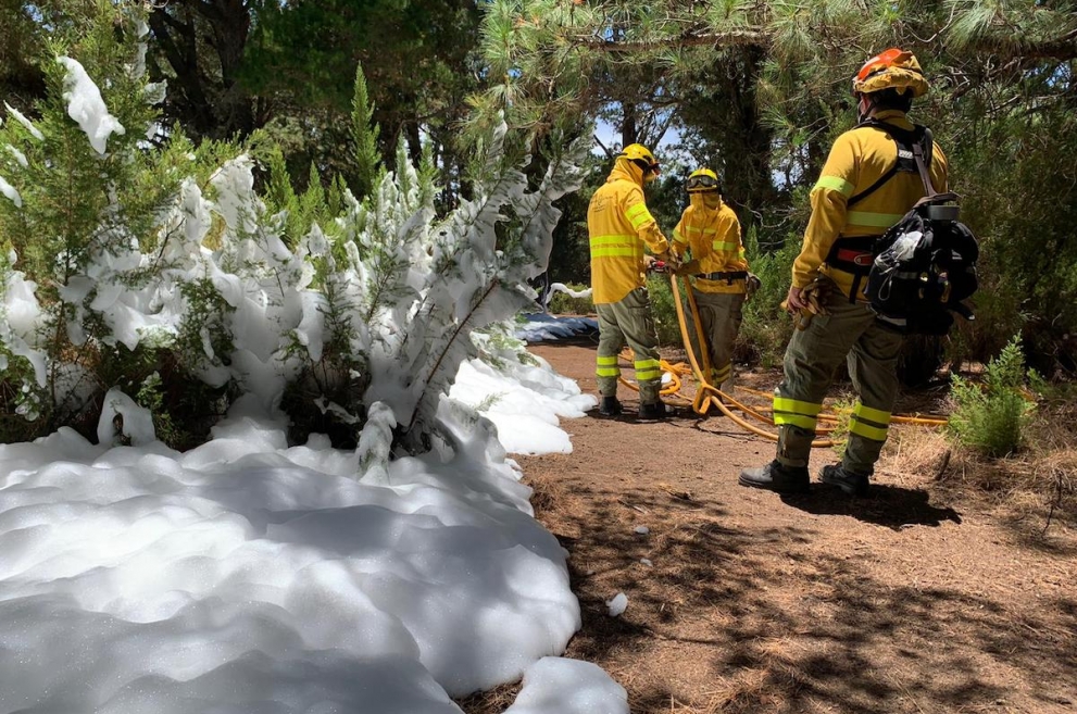 Verano en riesgo alto: de prácticas con los bomberos forestales